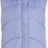 Vila Bodywarmers Bodywarmer Dames Blauw
