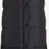 Vila Bodywarmers Bodywarmer Dames Zwart