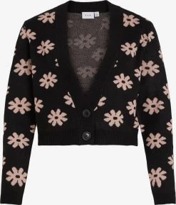 Vesten Gebreid Vest SAINT Dames Zwart